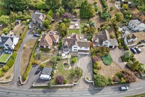 Photo 2- click for photo gallery